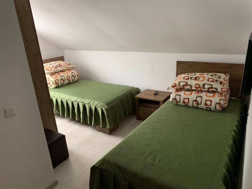 Casa La Danut Ξενοδοχείο Viσeu de Jos Εξωτερικό φωτογραφία