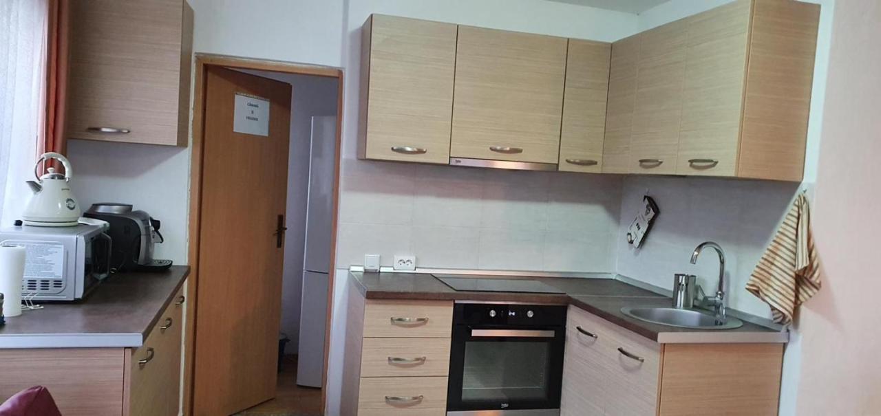 Casa La Danut Ξενοδοχείο Viσeu de Jos Εξωτερικό φωτογραφία