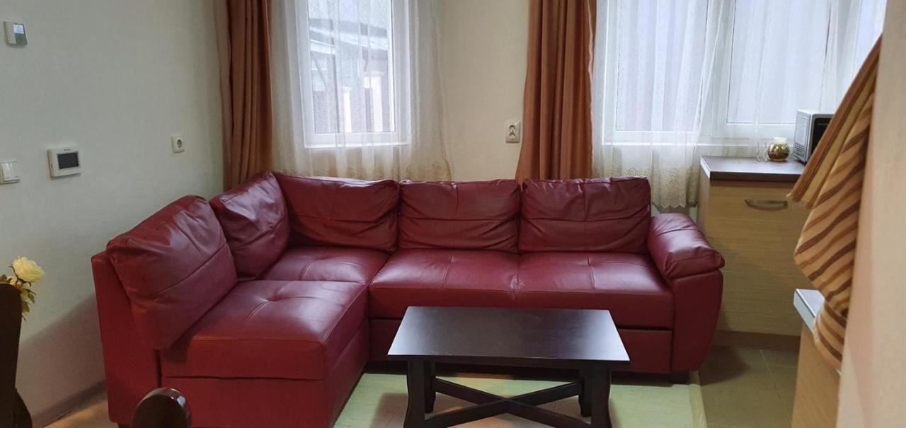 Casa La Danut Ξενοδοχείο Viσeu de Jos Εξωτερικό φωτογραφία