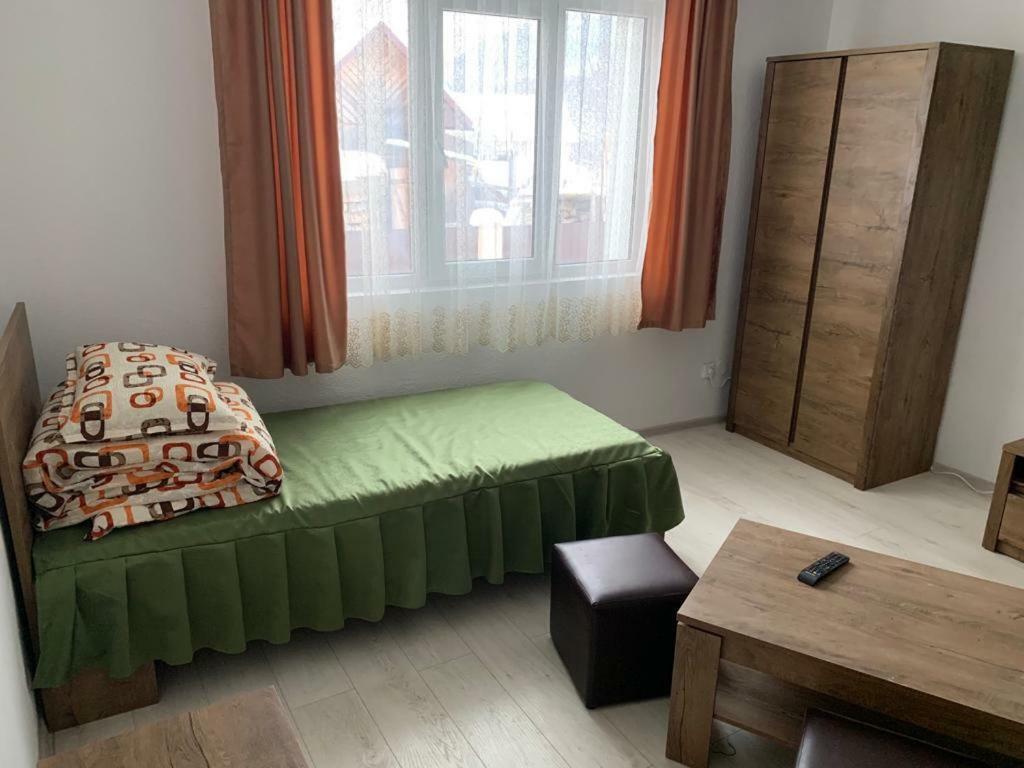 Casa La Danut Ξενοδοχείο Viσeu de Jos Εξωτερικό φωτογραφία