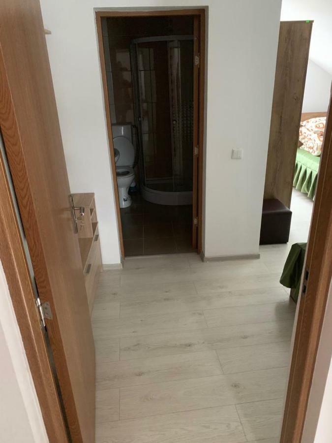 Casa La Danut Ξενοδοχείο Viσeu de Jos Εξωτερικό φωτογραφία